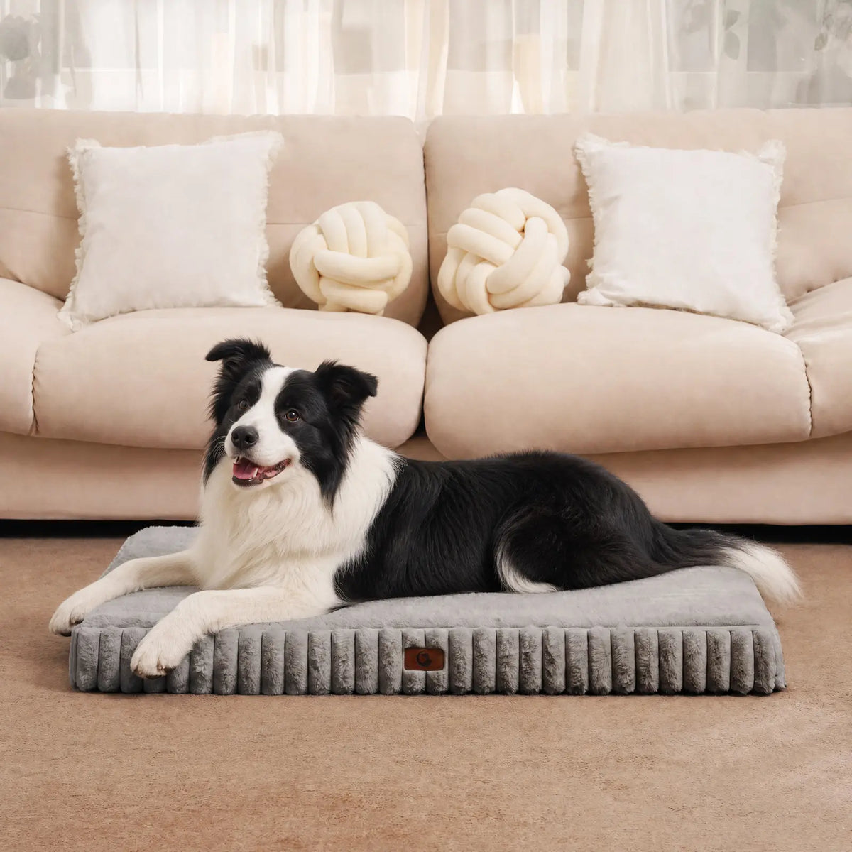 Sohochic Cozila Modern Washable Orthopedic Dog Bed with Egg Crate Foam, Waterproof Liner, and Non-Slip Bottom - Enhanced Comfort and Weight Distribution for Medium and Large Dogs, Ideal for Home and Outdoor Use