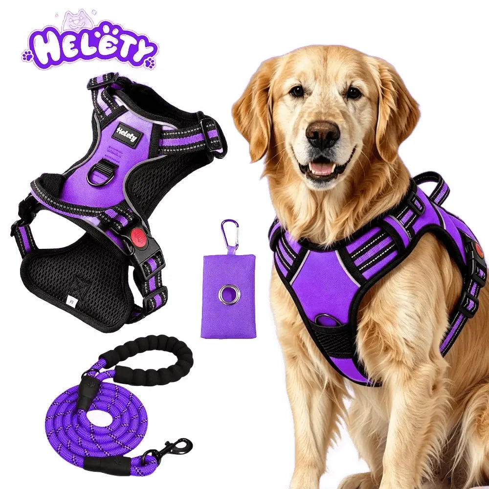 HELETY 3-Piece Adjustable No-Pull Dog Harness Set for Outdoor Activities - Reflective Vest, Leash, Waste Bag Holder, Back Clip, Dual Clips, Sizes S–XL