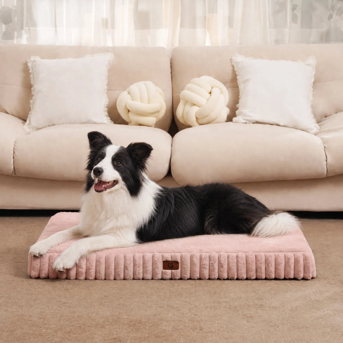 Sohochic Cozila Modern Washable Orthopedic Dog Bed with Egg Crate Foam, Waterproof Liner, and Non-Slip Bottom - Enhanced Comfort and Weight Distribution for Medium and Large Dogs, Ideal for Home and Outdoor Use