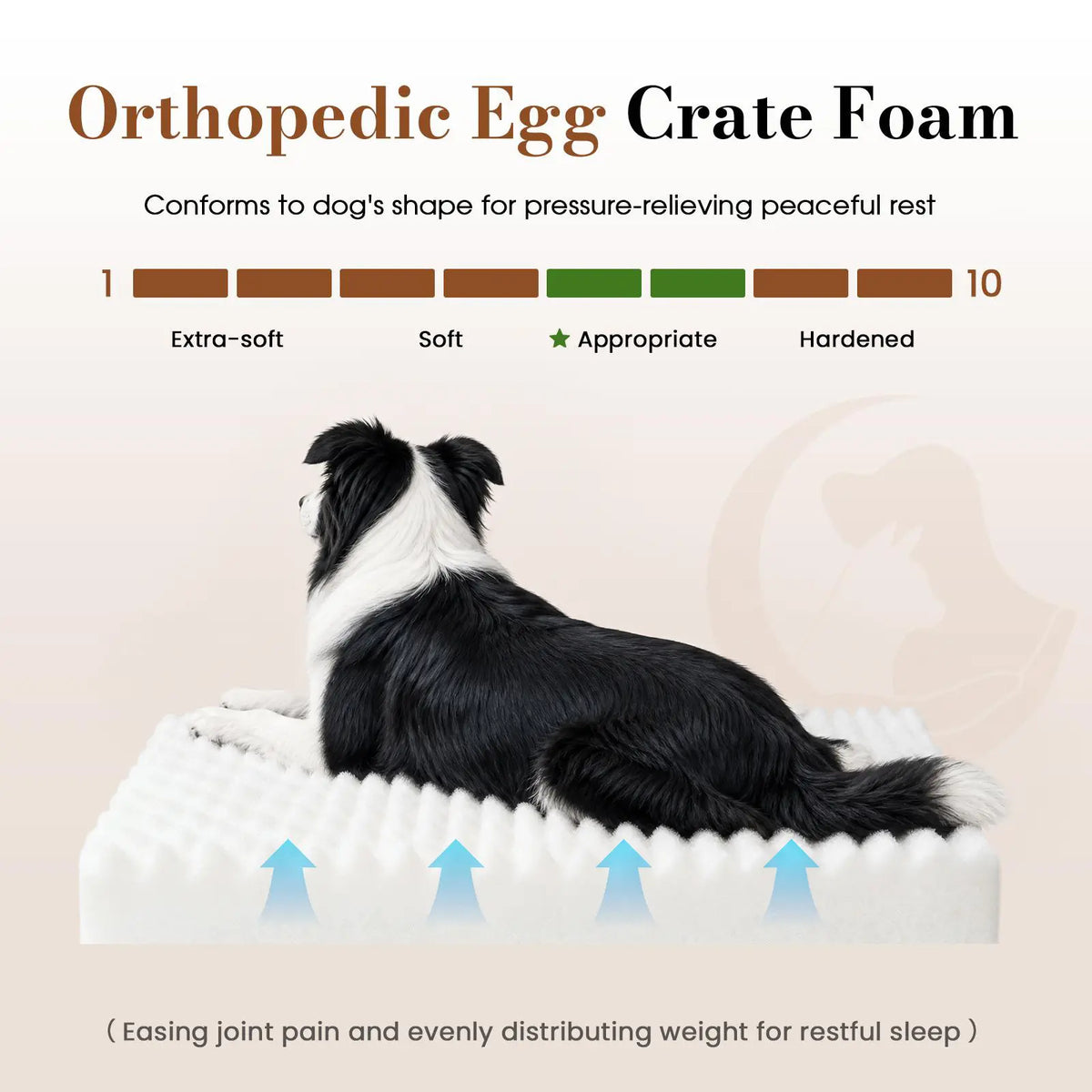 Sohochic Cozila Modern Washable Orthopedic Dog Bed with Egg Crate Foam, Waterproof Liner, and Non-Slip Bottom - Enhanced Comfort and Weight Distribution for Medium and Large Dogs, Ideal for Home and Outdoor Use