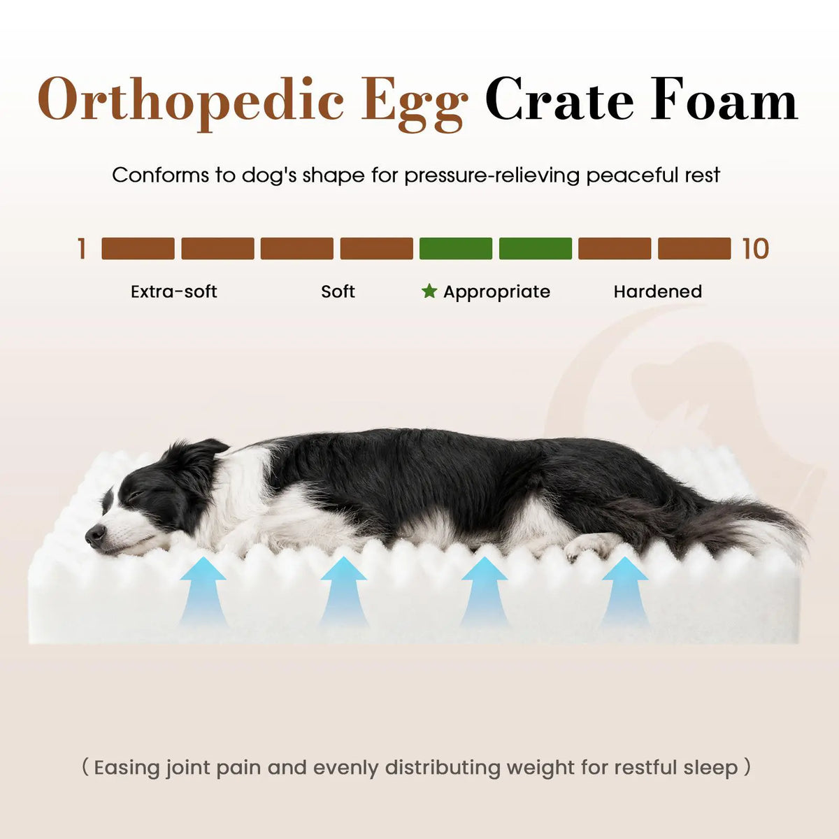 Sohochic Cozila Modern Washable Orthopedic Dog Bed with Egg Crate Foam, Waterproof Liner, and Non-Slip Bottom - Enhanced Comfort and Weight Distribution for Medium and Large Dogs, Ideal for Home and Outdoor Use
