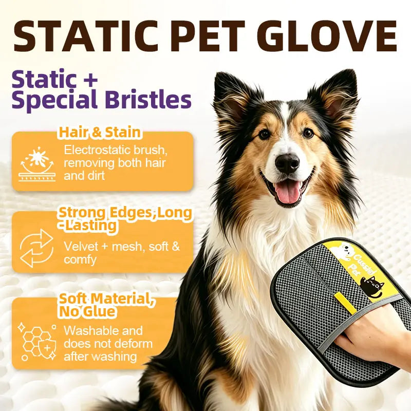 Cassiel-Pet Professional Pet Hair Removal Grooming Gloves for Cats and Dogs, Electrostatic Cleaner for Furniture, Carpets, and Car Seats, Reusable Design
