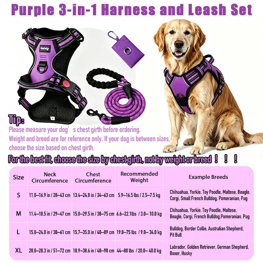 HELETY 3-Piece Adjustable No-Pull Dog Harness Set for Outdoor Activities - Reflective Vest, Leash, Waste Bag Holder, Back Clip, Dual Clips, Sizes S–XL