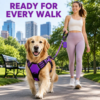 HELETY 3-Piece Adjustable No-Pull Dog Harness Set for Outdoor Activities - Reflective Vest, Leash, Waste Bag Holder, Back Clip, Dual Clips, Sizes S–XL