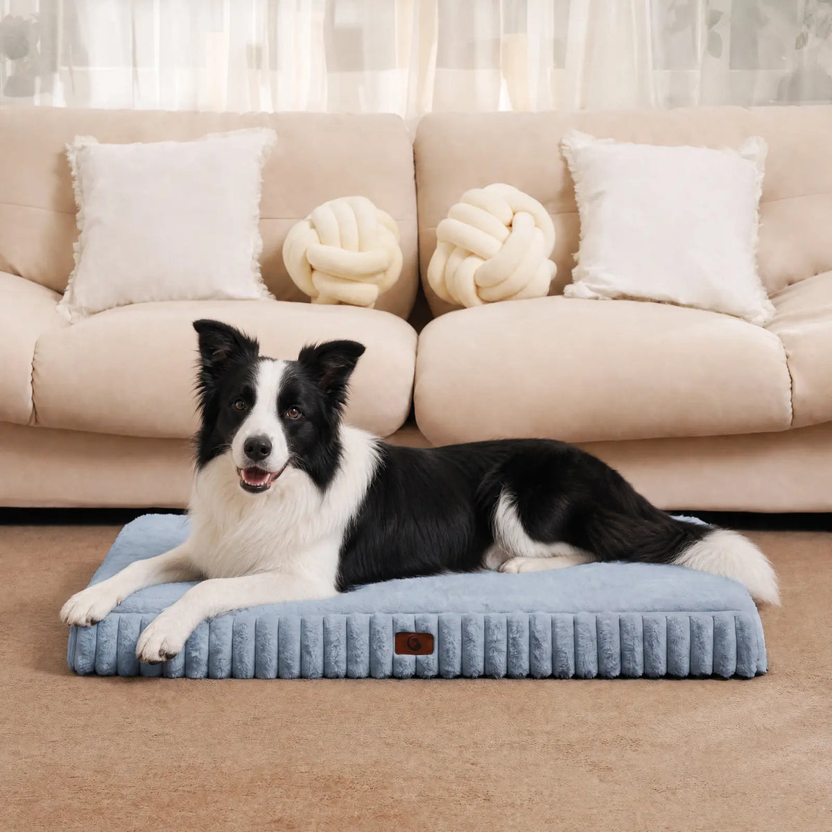 Sohochic Cozila Modern Washable Orthopedic Dog Bed with Egg Crate Foam, Waterproof Liner, and Non-Slip Bottom - Enhanced Comfort and Weight Distribution for Medium and Large Dogs, Ideal for Home and Outdoor Use