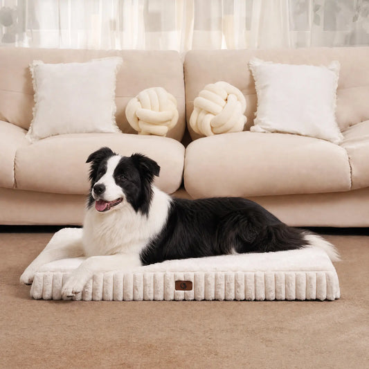 Sohochic Cozila Modern Washable Orthopedic Dog Bed with Egg Crate Foam, Waterproof Liner, and Non-Slip Bottom - Enhanced Comfort and Weight Distribution for Medium and Large Dogs, Ideal for Home and Outdoor Use