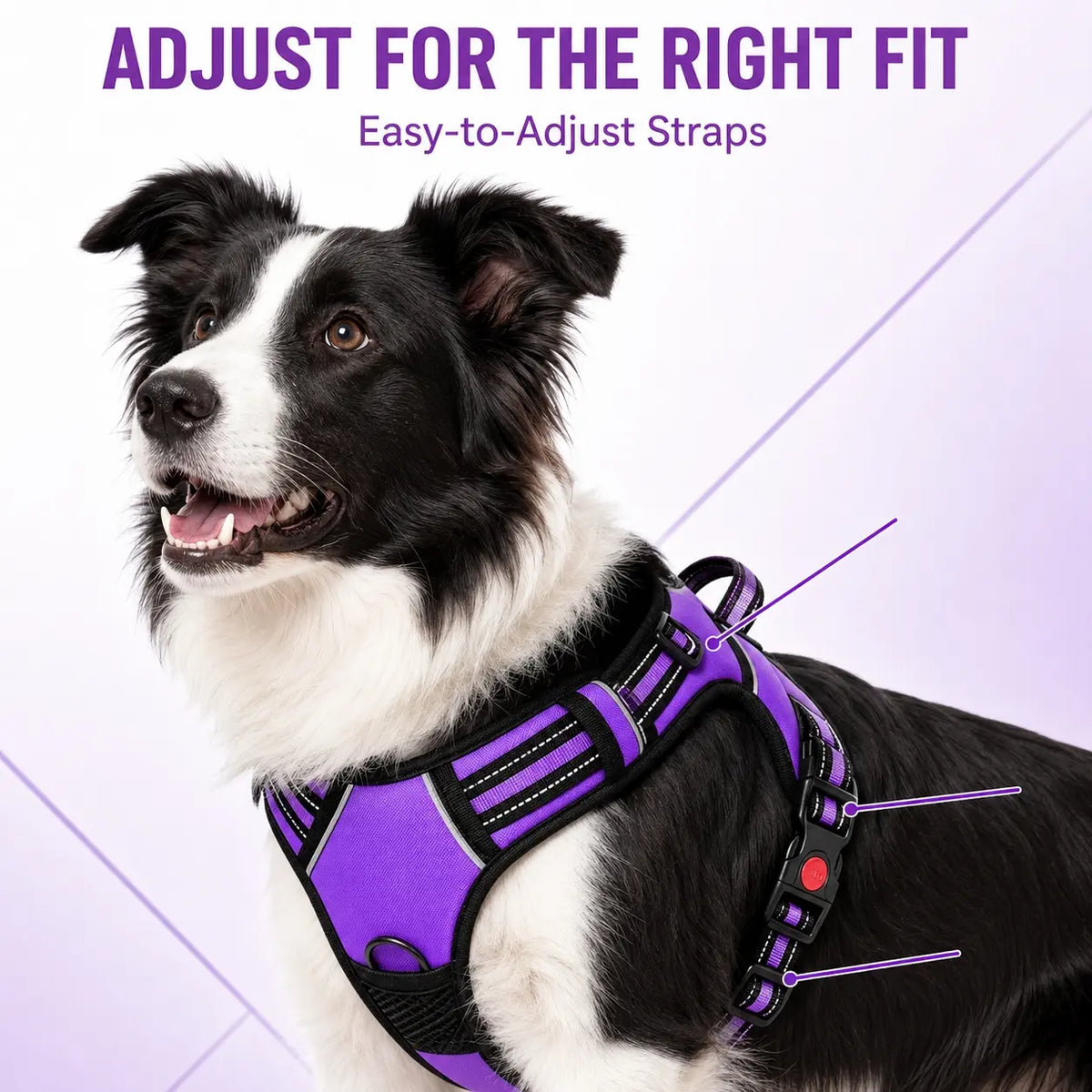 HELETY 3-Piece Adjustable No-Pull Dog Harness Set for Outdoor Activities - Reflective Vest, Leash, Waste Bag Holder, Back Clip, Dual Clips, Sizes S–XL